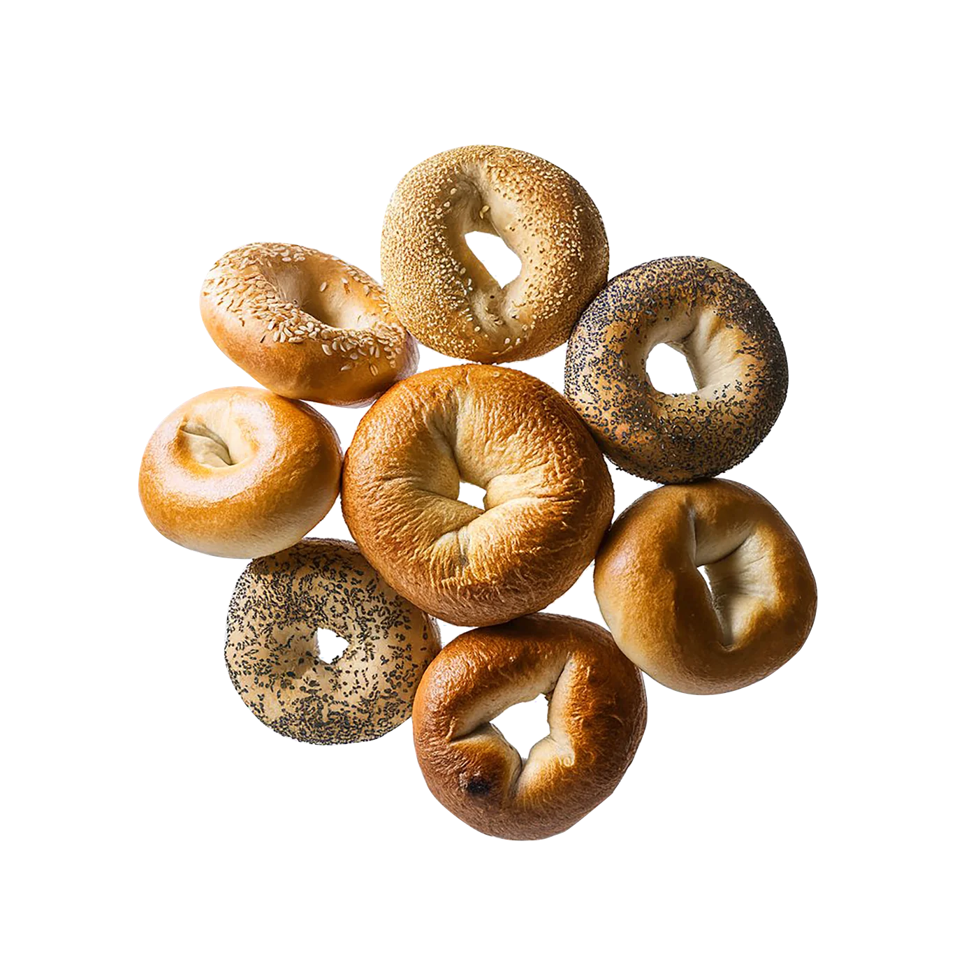A fresh variety of bagels baked in-house